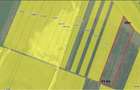 Teren industrial Family Market/B.M.T./Tomesti - 2