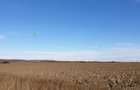 Teren 5037 m.p. Mosoaia , Arges - 2