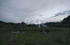 Teren intravilan de vânzare – Valea lui Enache, Baiculești, Argeș | 500 mp - 3