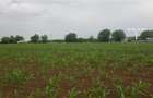 TEREN CU POTENTIAL INDUSTRIAL | 4,35 HA | ARAD, ZADARENI - 6