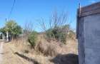 Loc de casă Fundeni (Frunzănești) - 4
