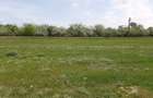 Vand Teren 25m Deschidere Directa la Lac, Intravilan-Construibil, 700mp(25x28m) - 3