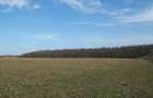 GANEASA, langa lac, padure si vile, 1075 mp. teren construibil - 7