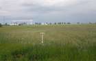 TEREN CU POTENTIAL INDUSTRIAL/ SERVICII | 9,44 HA | ARAD, PECICA - 8