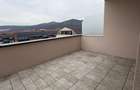 Apartament de vanzare, 3 camere, 184,78 mp, zona Cetatii  - 2