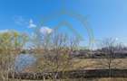 DOM00432 - Teren de vanzare la lac Snagov - 1