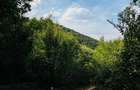 Teren 4.173 mp, front 60 m – Văliug, aproape de Lacul Gozna - 18