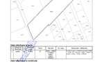 Mogosoaia-Teren 5.000 mp Str. Nichita Stănescu – Pretabil Proiect Imobiliar - 3