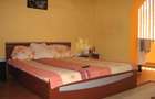 Apartament 1 camera, 50 mp, centrala, clima- Zona Dambovita - 1