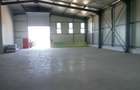 Hala Industrială de Vânzare – Locație Ideală pentru Afacerea Ta! - 4