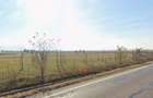Lot teren zona in dezvoltare, aeroport Brasov - 6