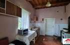 Casa in Viile Satu Mare cu teren mare 55000 Euro - 12