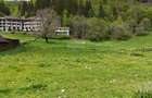 Intravilan | 10.000 mp| Sătic-Rucăr | Acces facil | Potențial excelent - 2
