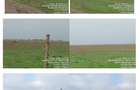 21 Terenuri extravilane situate in Judetul Calarasi, Com Modelu si Com Cuza voda - 2