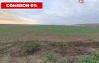 COMISION 0% Teren extravilan agricol 10.000 mp la sosea in Sag - 2
