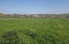 Teren Intravilan 1,5 Ha | Deschidere 180ml | T-7760 - 2