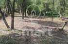 Teren intravilan cu CF 5400mp front 17 Savadisla jud Cluj - 2