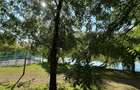 REA1022823 Duplex 200 mp I Herastrau I Sauna I Priveliste catre lac - 21