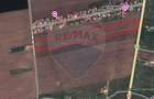 Teren intravilan 1,95 ha Vama Veche - 2