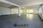 Spatiu industrial 8+ camere zona Central - 2