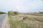 Teren Intravilan 1300 mp / Extravilan 3.700 mp/ DJ 196B Carei (DN 1F) – Foieni - 1
