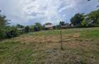 Proprietate de vanzare in Sat Izvoare, com. Bahna, judetul Neamt - 15