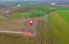 Teren intravilan 10.000 mp în Zona Industrială Sud Arad - 5