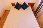 2 camere Cismigiu - Sala Palatului - 5