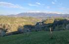 Teren 3,618mp Pestera / Strada Principala - 1