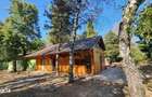 Investiție Excepțională Parcul Herăstrău Spațiu HoReCa Terase Ample - 5