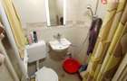 Apartament cu o camera de vanzare in zona Buziasului - 5