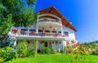 Hotel Bielmann,unicitate si profitabilitate optima in turism, Sanpetru, Brasov - 12