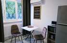 Apartament cu 1 cameră de închiriat Mazepa Roșiori - 5