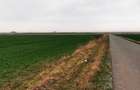 Vand teren intravilan 4,5 hectare vis a vis de Aeroportul Mihail Kogalniceanu - 3