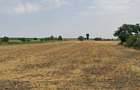 Vând teren intravilan – Crivăț, Călărași - 13