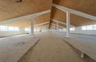 Hala depozitare - productie Iasi, Ciohorani, 3510mp - 9