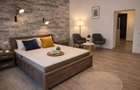 Pet friendly! Garsoniera cocheta si primitoare in Centrul Istoric Brasov - 4