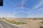 Teren intravilan strategic cu infrastructură existentă Cernica - 1