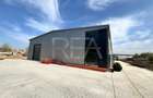 Hale depozitare/productie deschidere la Centura\Chitila - 3