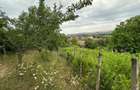 Casa 4 camere + teren 7500 mp - 12