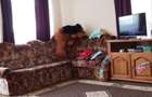 Apartament 2 camere, 58mp zona Avram Iancu , Lidl , Floresti  - 10