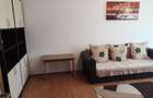 2 camere Drumul Taberei - Valea Argesului - 3