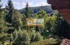 Oportunitate, Restaurant cu MiniPensiune 800mp, 1,8ha teren, Via Transilvanica - 9