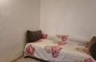 Apartament, 1 camera nedecomandat, 26 mp, Tatarasi, de inchiriat, Cod 161731 - 4