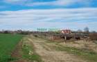 Teren 10.000 mp de vânzare – Balotești – PUZ locuințe - 10