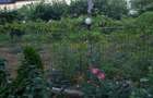 Teren d e vanzare 14000 mp , ultracentral Odobesti - 8