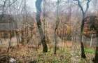 Babana, Slătioarele | Casă modernă, gata de mutare, la 12 km de Pitești - 15