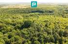 TEREN AGRICOL EXTRAVILAN  22.900 MP LIPOVA - 15