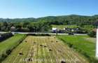 TEREN 1895 MP, COPACELU - DESCHIDERE LA DN67 - 5