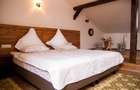 Hotel Bielmann,unicitate si profitabilitate optima in turism, Sanpetru, Brasov - 43